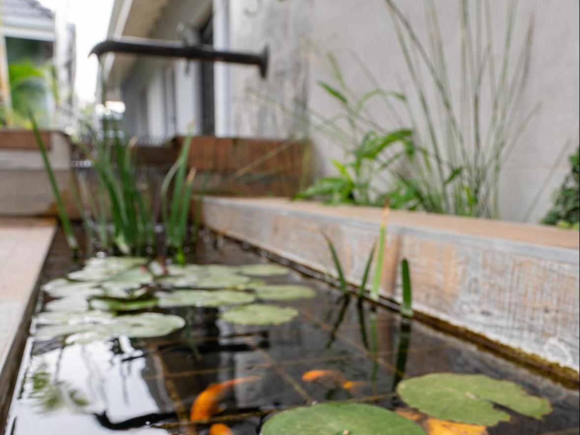 Familia Guesthouse & Boutique Hotel 格罗布勒斯达尔 外观 照片
